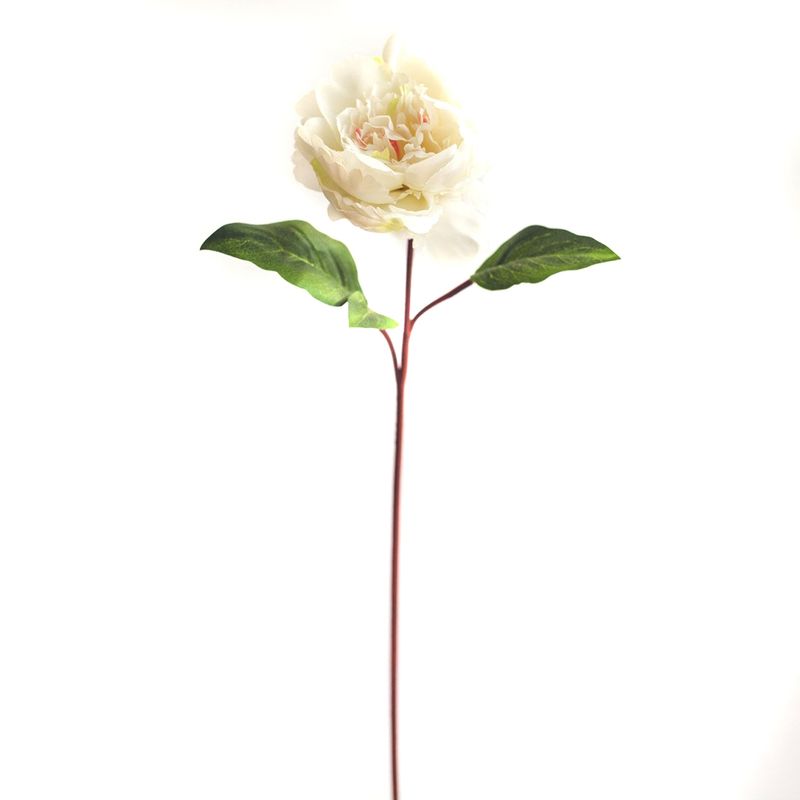 LE BOUQUET - Peonia Blanca
