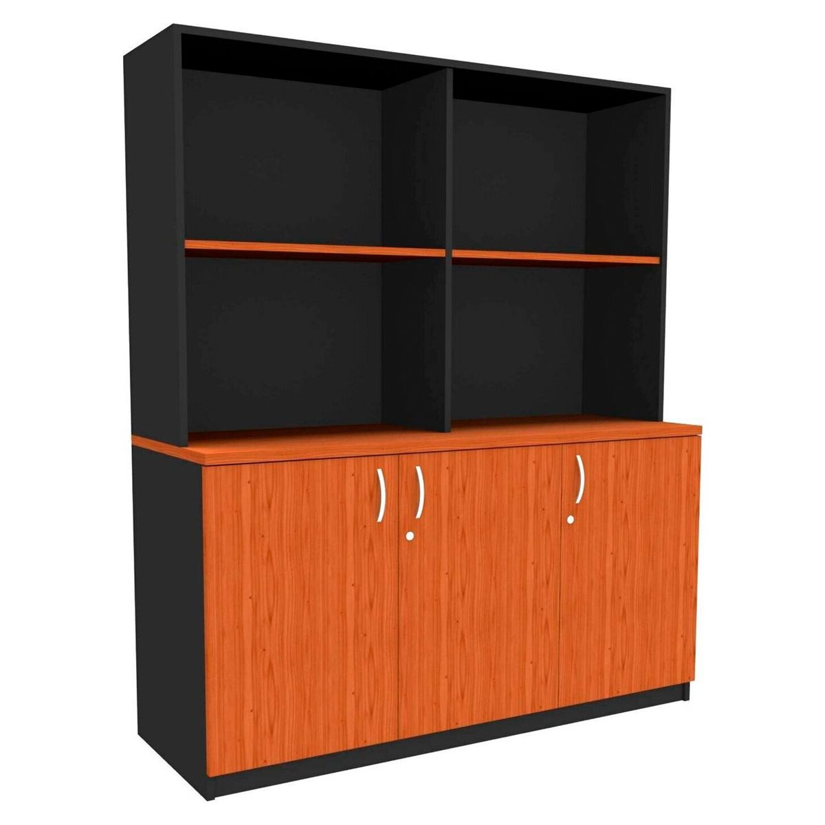 BASFLEX - Biblioteca Archivo 3 Puertas