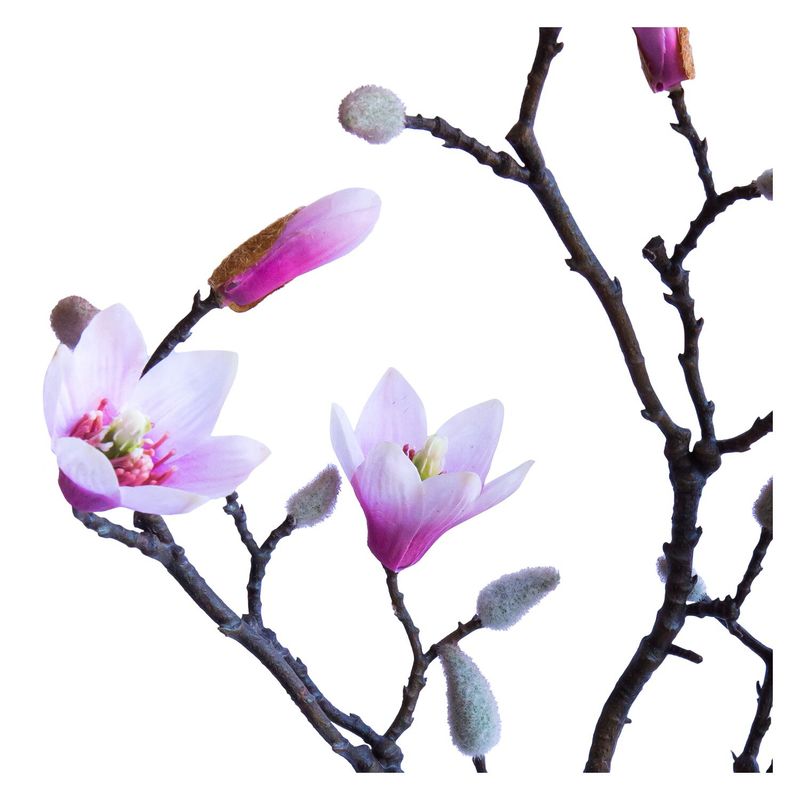 LE BOUQUET - Magnolio