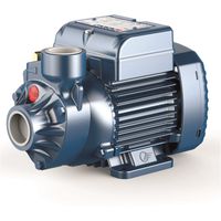 Electrobomba periférica Pkm 65 marca