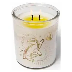 RETAILEXPRESS - Harry Potter Vela Mágica Hufflenpuf Cambia Color Vaso Vidrio