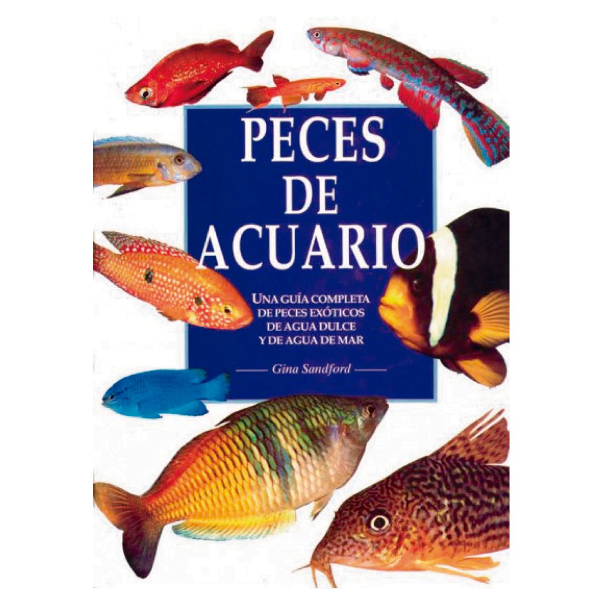 RETAILEXPRESS - Peces De Acuario - Autor(a):  Gina Standford