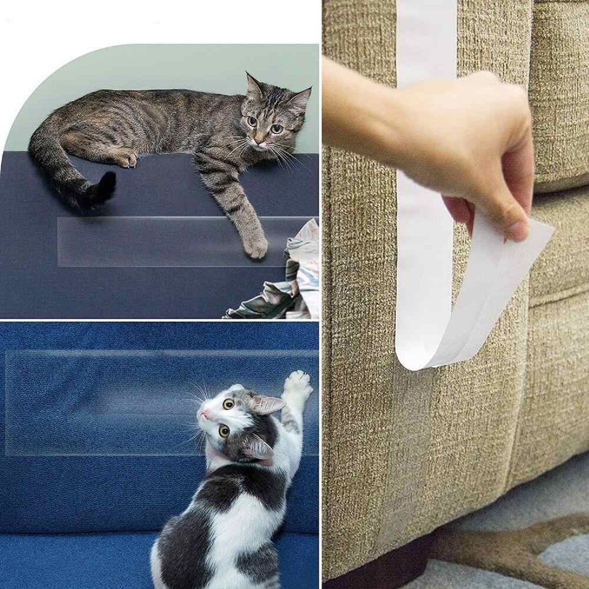 GENERICO - Protector Muebles Cinta Antiarañazos Gato 5 hojas