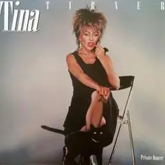 GRUPO LASER DISC - VINILO TINA TURNER PRIVATE DANCER 1LP