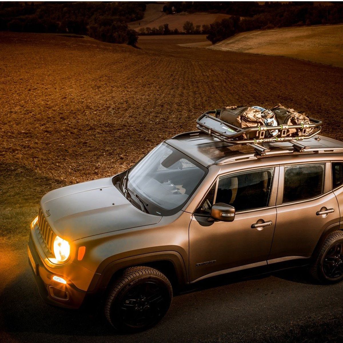 BUZZRACK - Canasto Buzzrack Para Techo Atomic