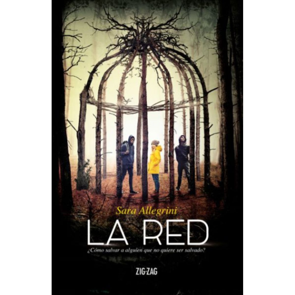 ZIG ZAG - La Red