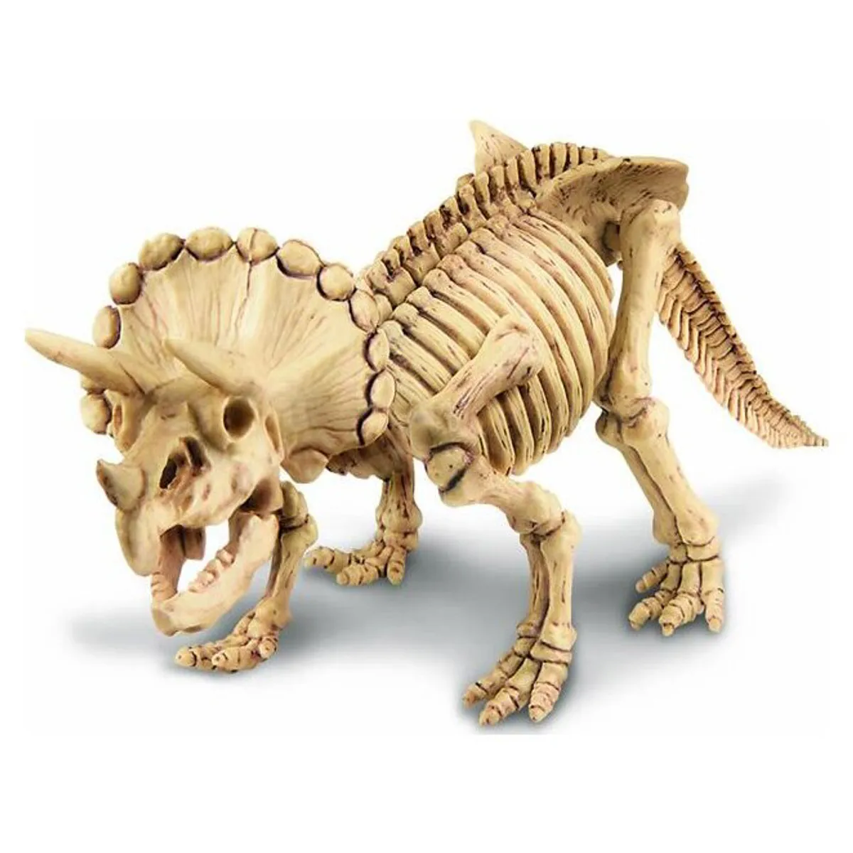 4M - Excava Triceratops Ciencia