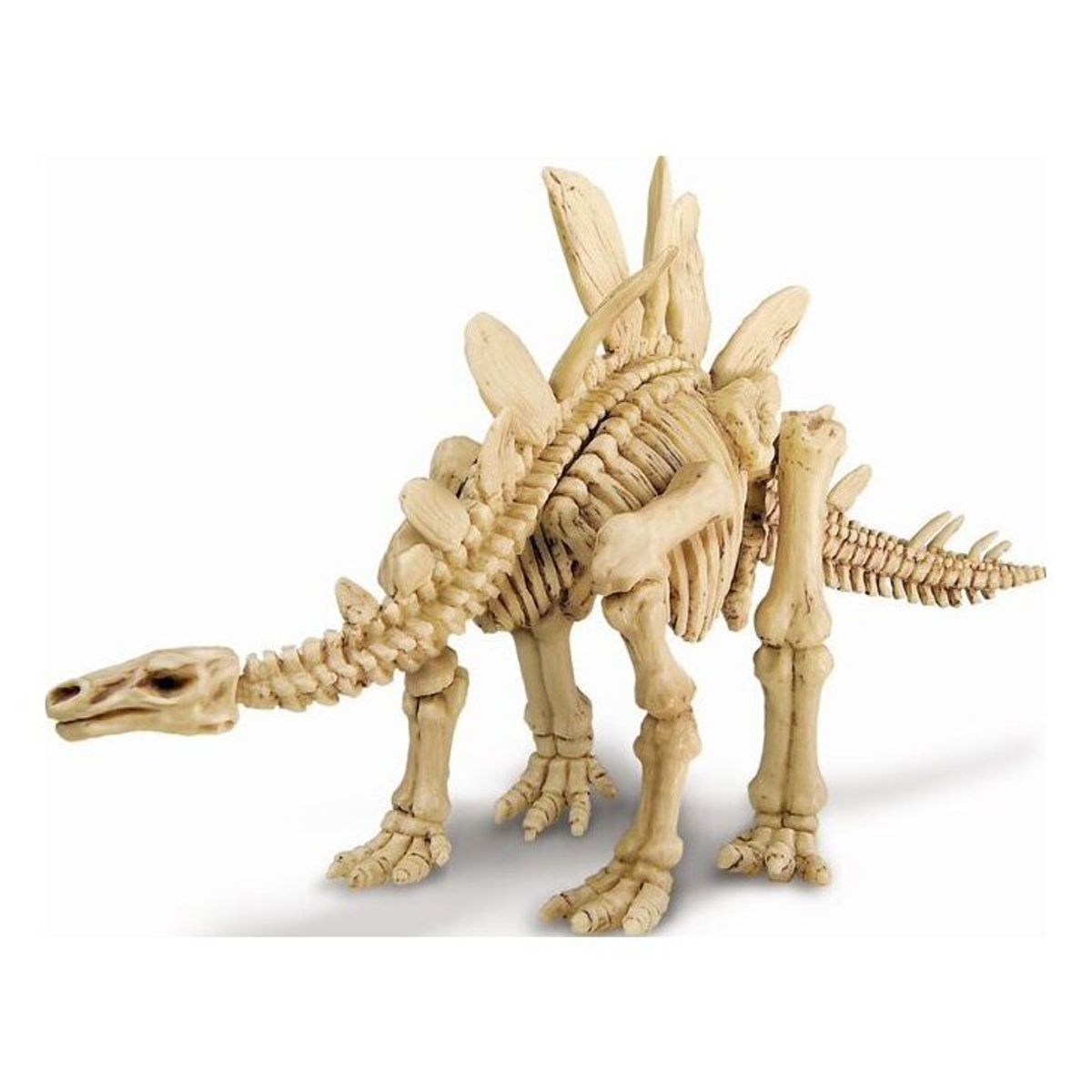 4M - 4M Excava Stegosaurus Ciencia