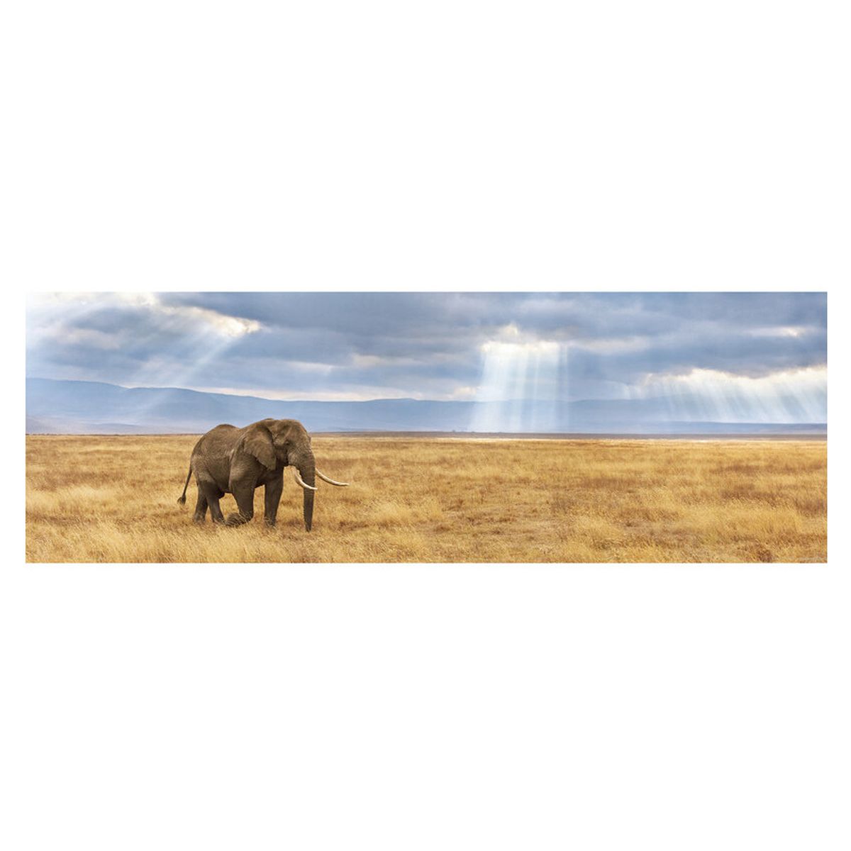 CLEMENTONI - Puzzle 1000 Pcs Panorama Elefante