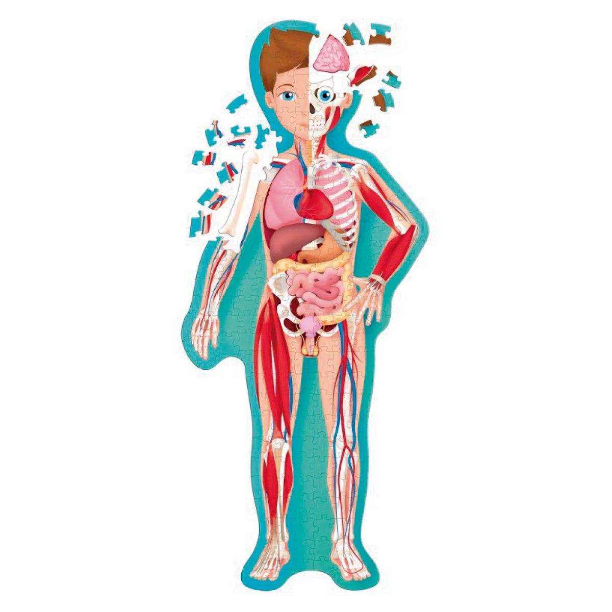 MANOLITO BOOKS - Libro y Puzzle Cuerpo Humano