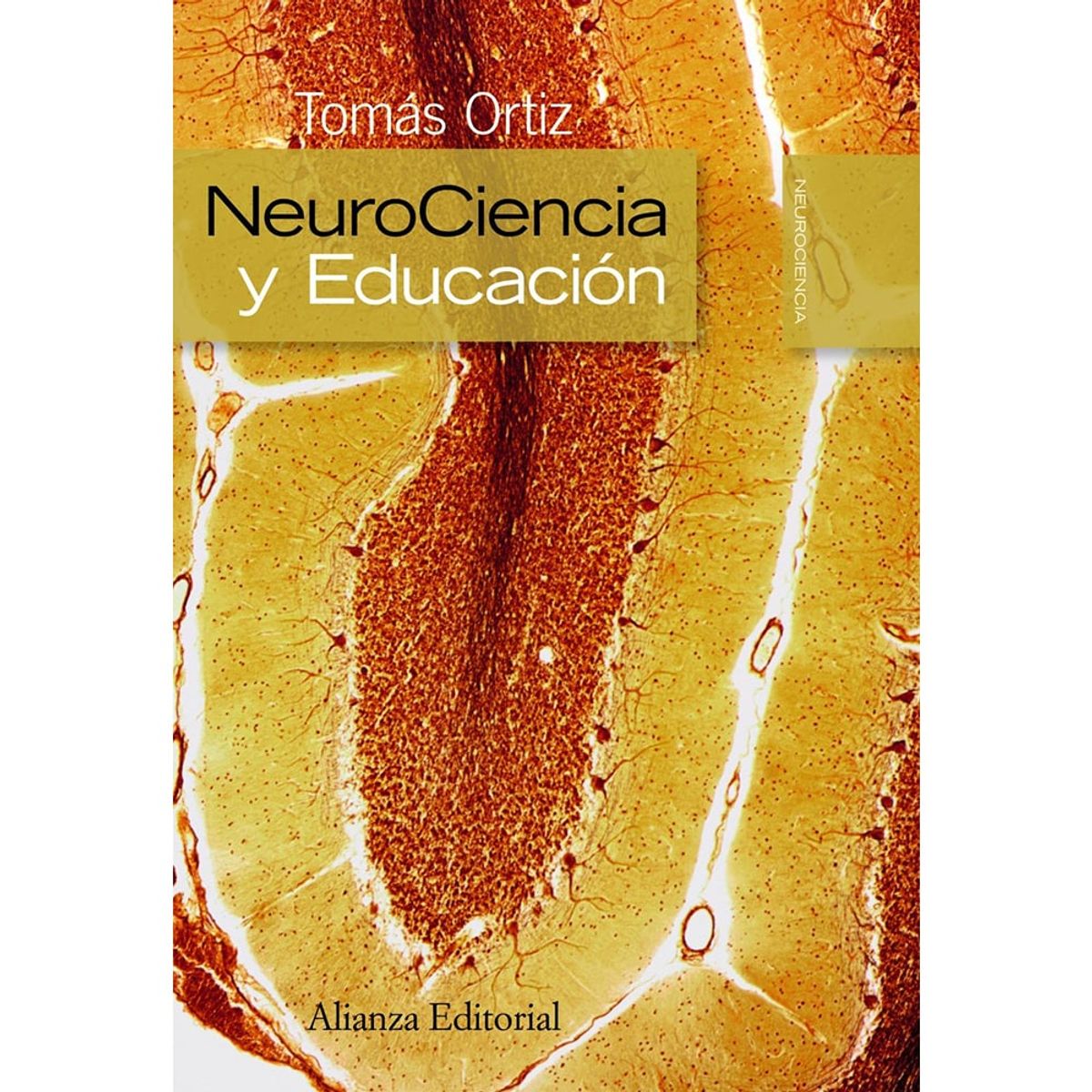 ANAYA - Neurociencia Y Educación