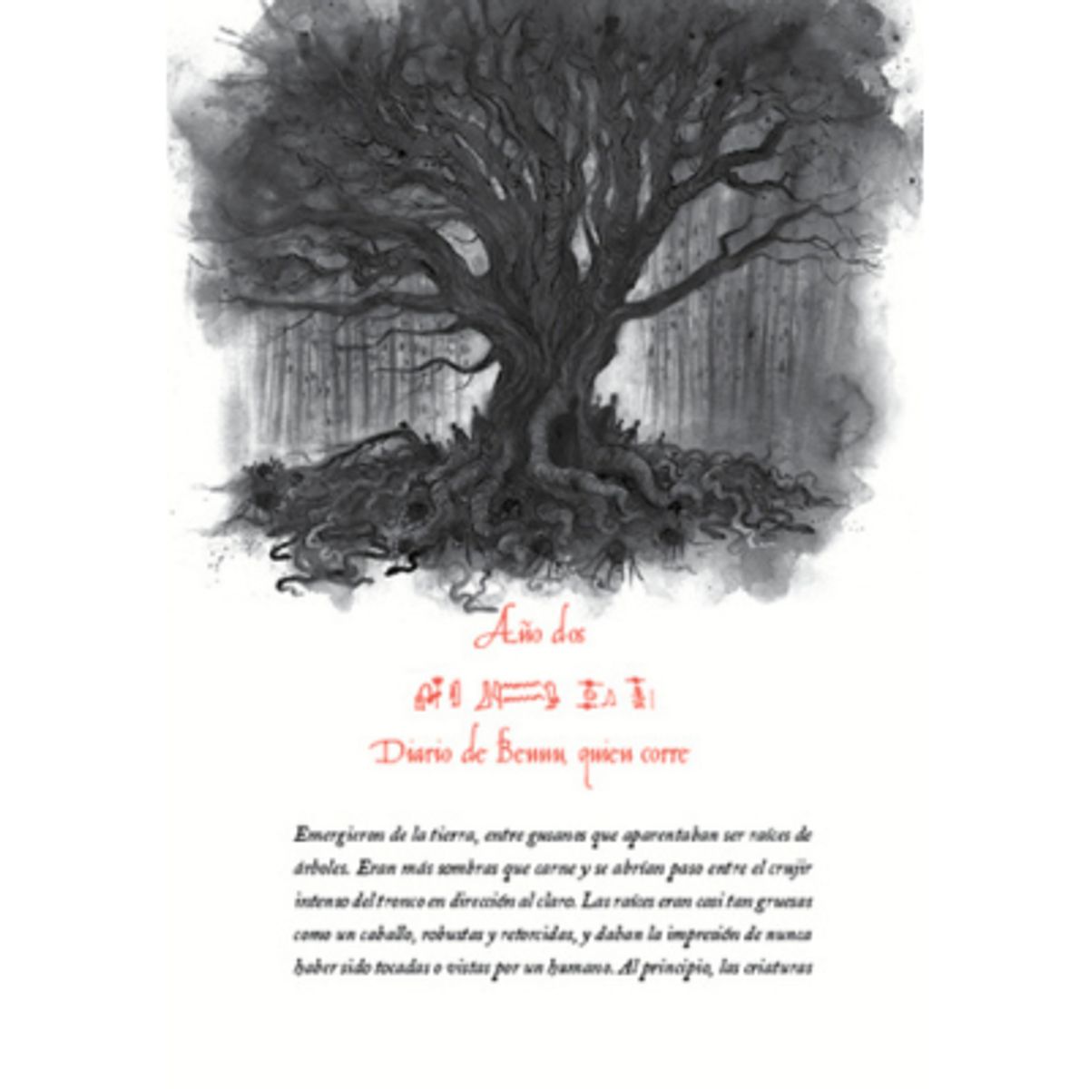 VERGARA Y RIBA - Libro La Corte De Las Sombras