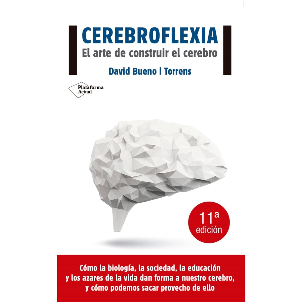 Plataforma Editorial - Cerebroflexia