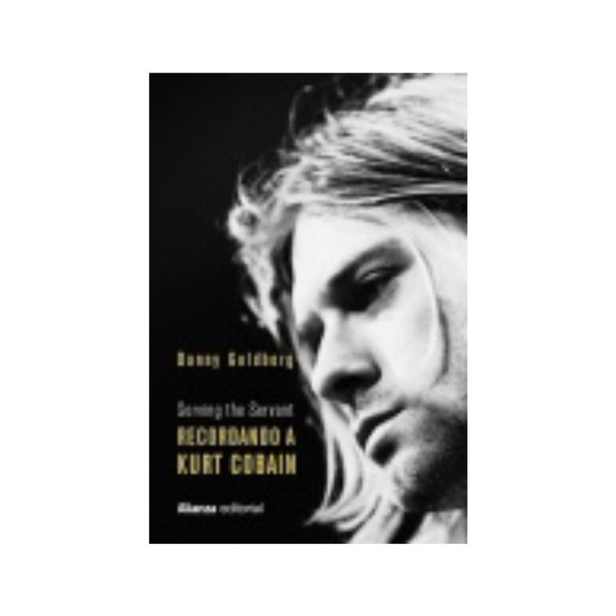 ANAYA - Recordando A Kurt Cobain