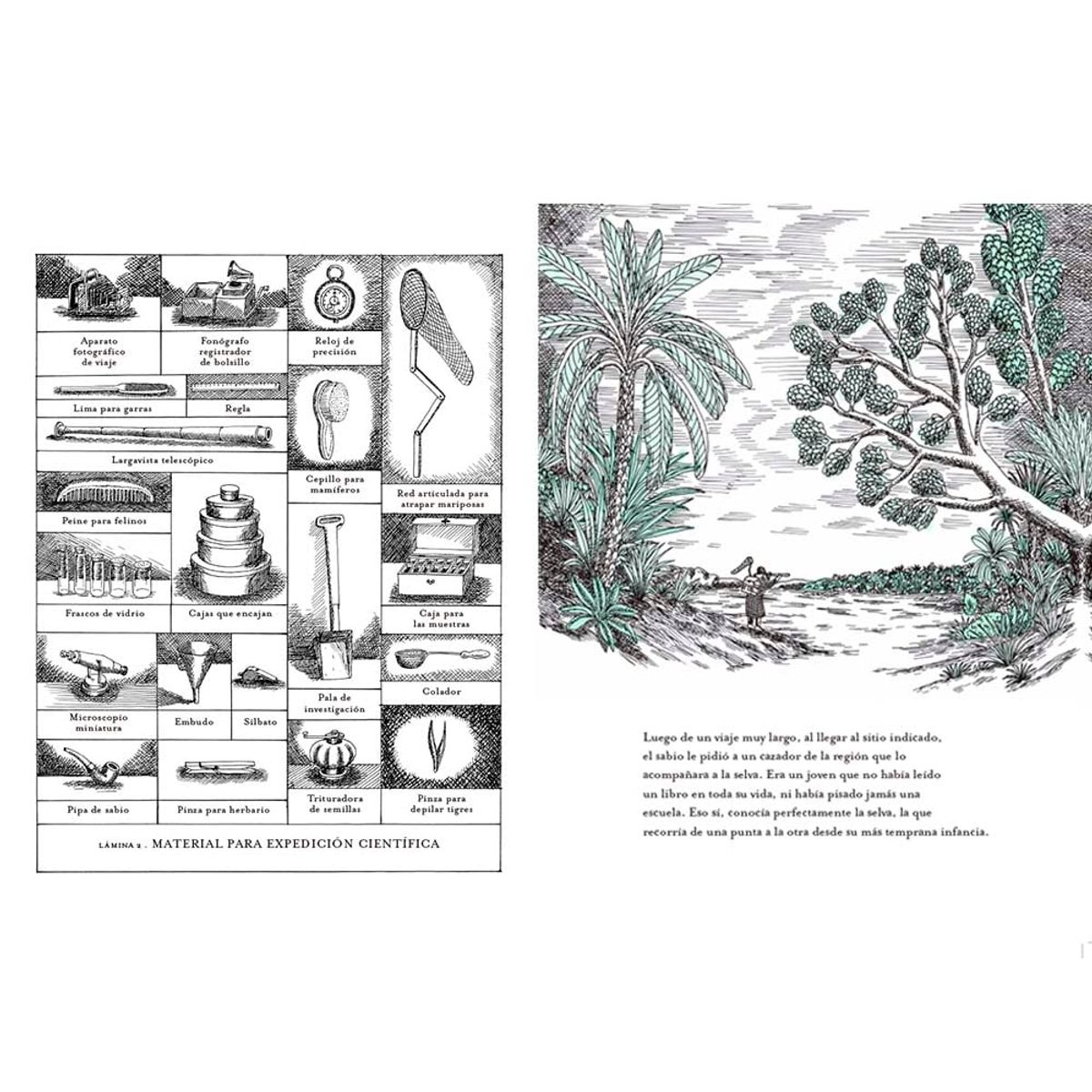 IAMIQUE - Panthera Tigris