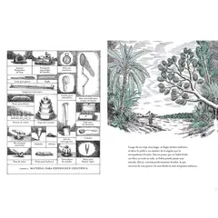 IAMIQUE - Panthera Tigris