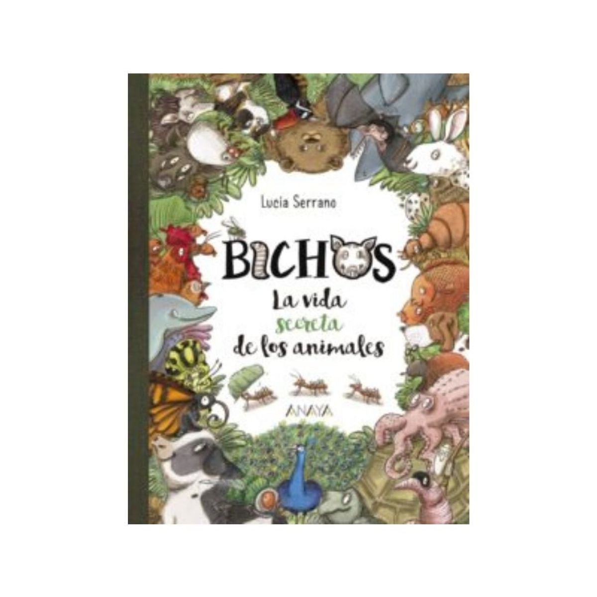 ANAYA - Bichos La Vida Secreta De Los Animales