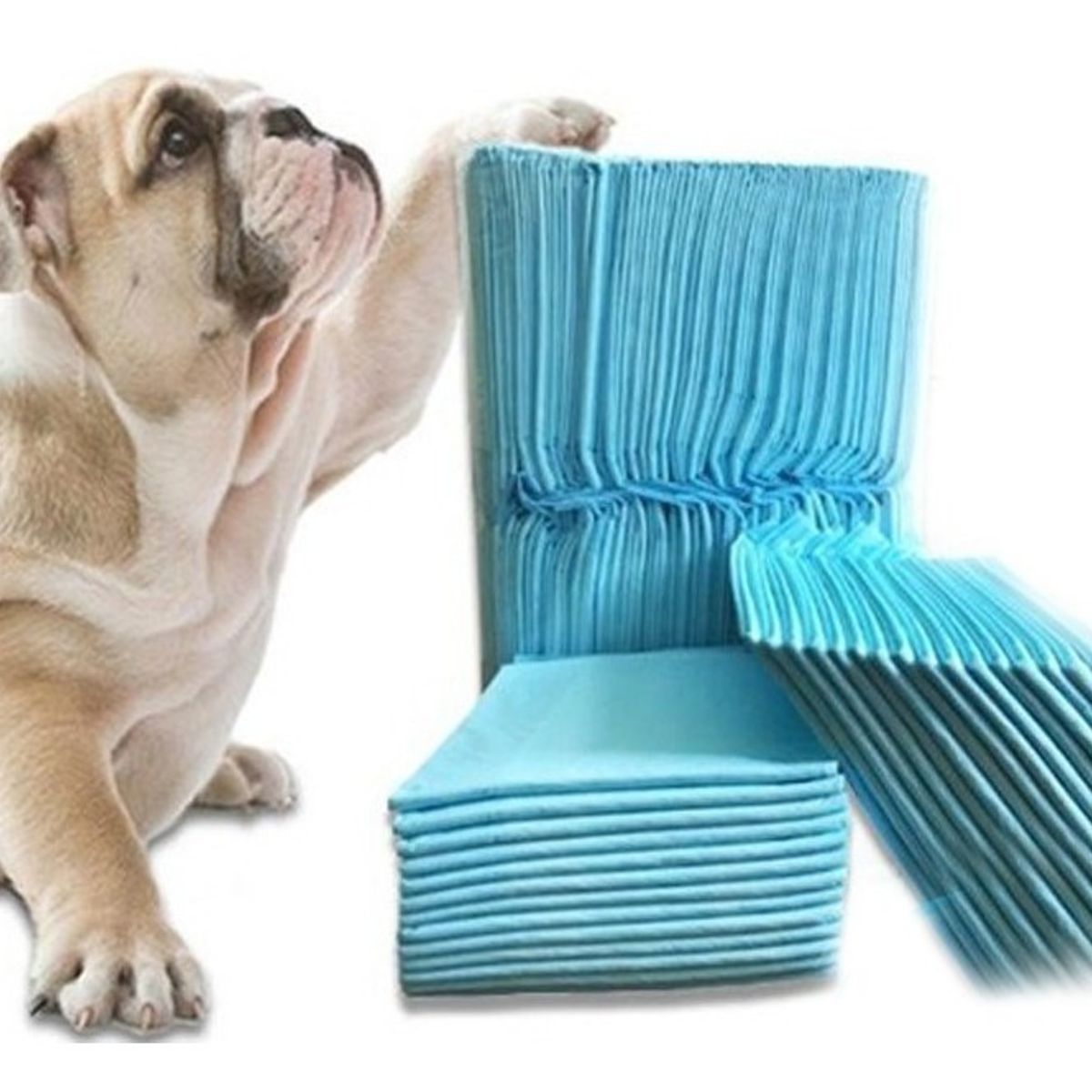 BJ HOGAR - 100 Pañales Tipo Sabanillas Mascotas Perros 45x60 Cms