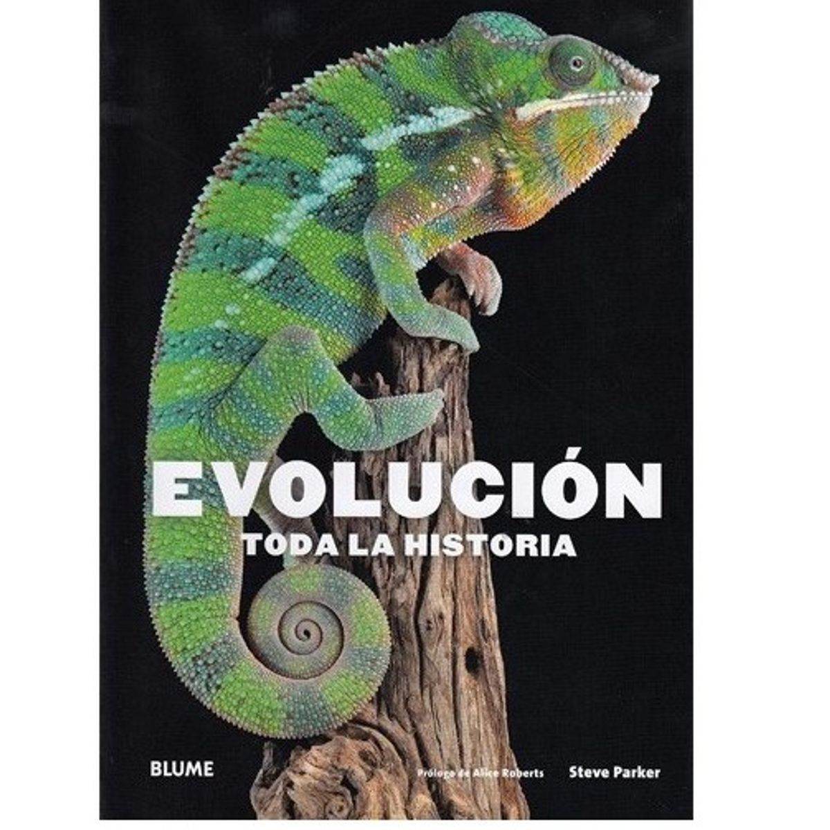 BLUME - Evolución. Toda La Historia