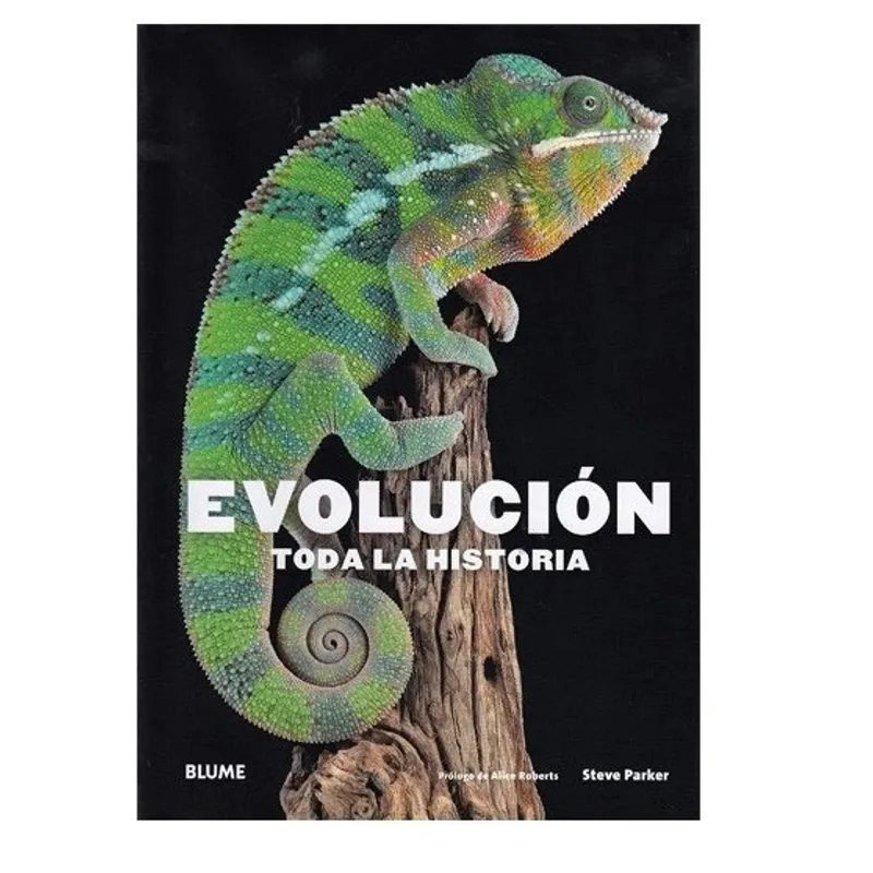 BLUME - Evolucion. Toda La Historia