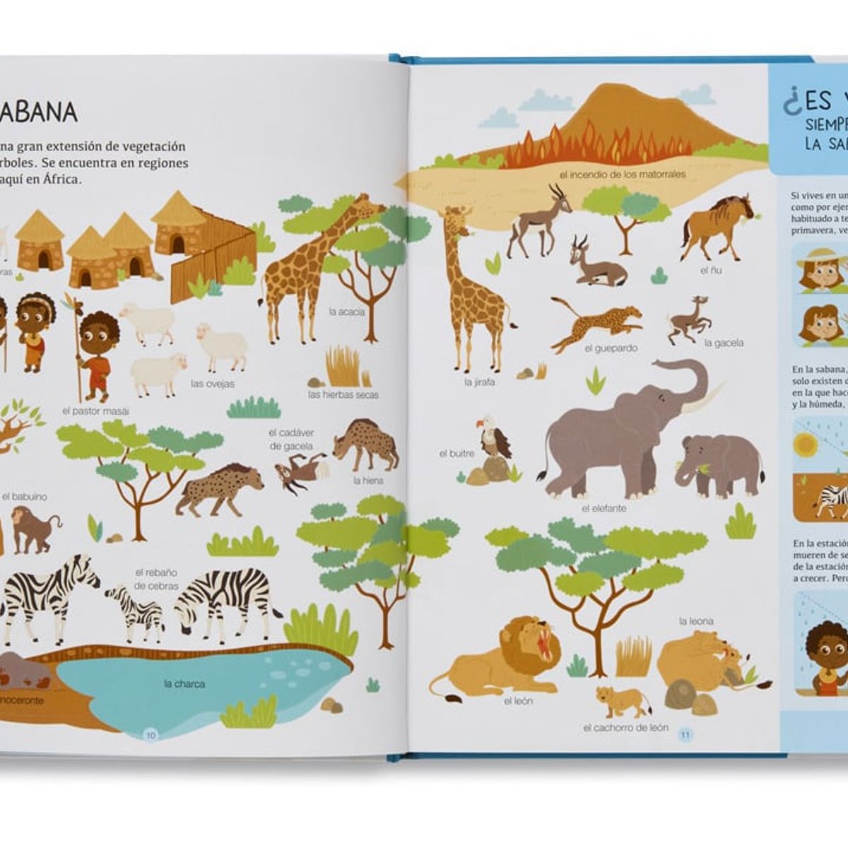 EDELVIVES - Biblioteca Para Mentes Curiosas - Atlas Del Mundo