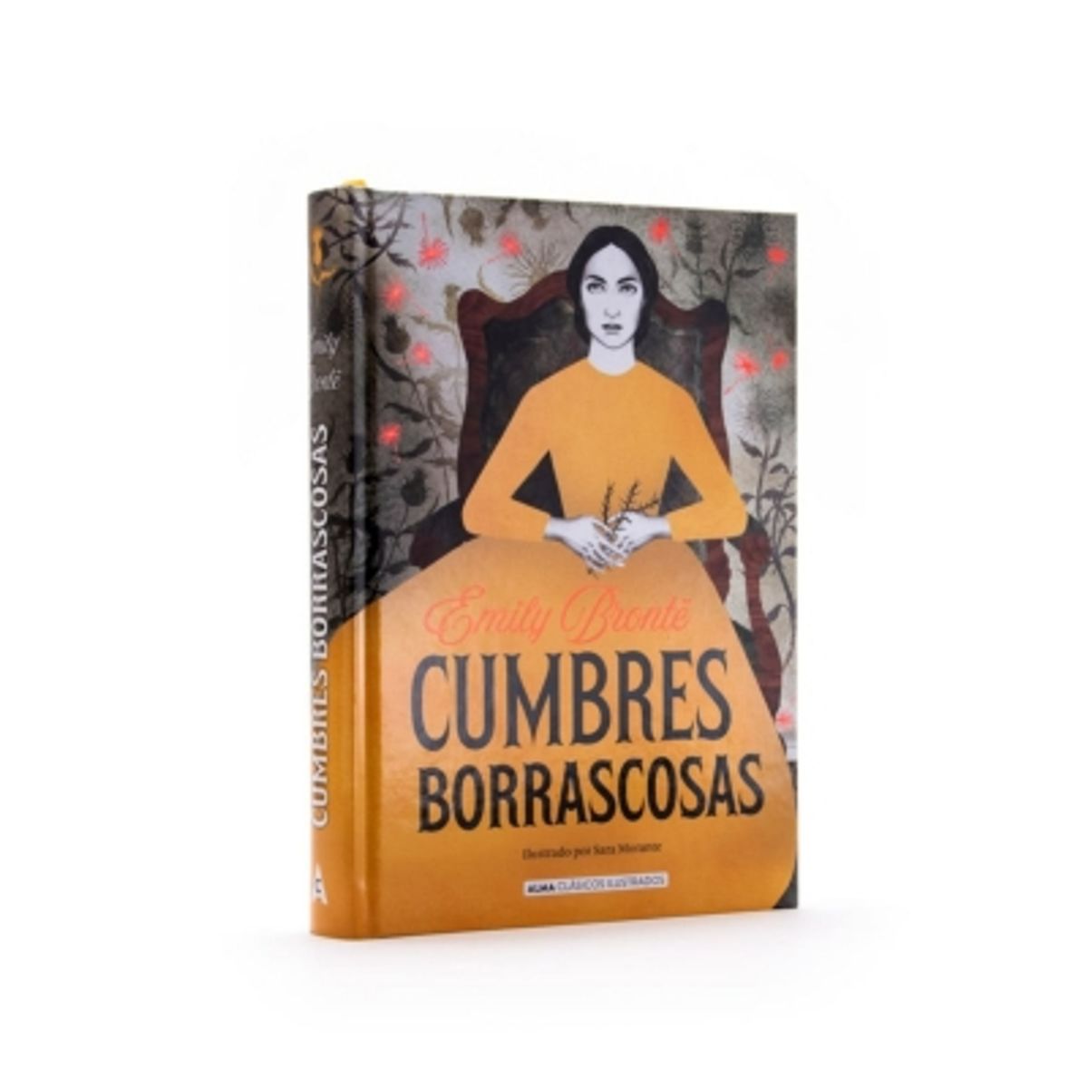 ALMA - Cumbres Borrascosas