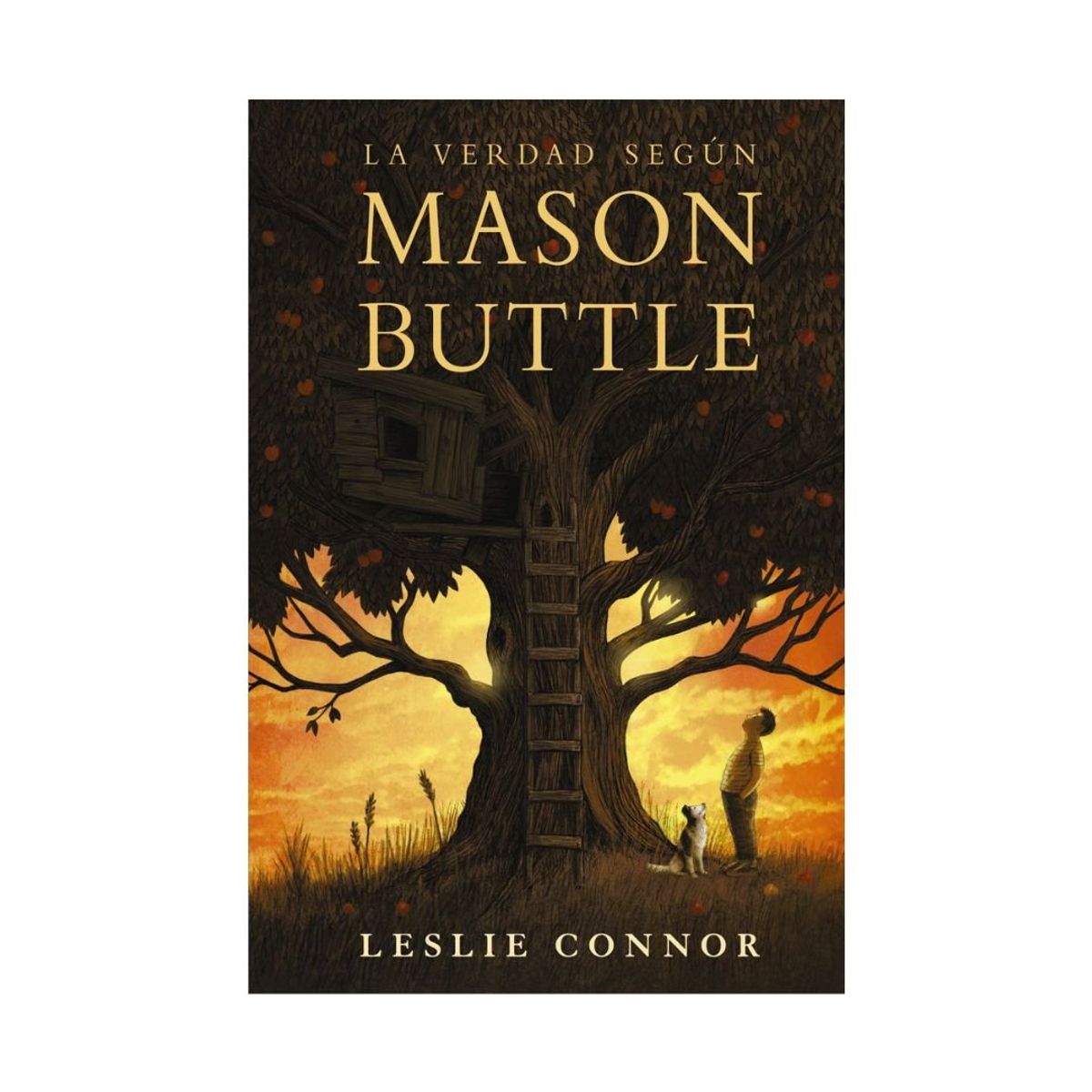 ANAYA - La Verdad Según Mason Buttle