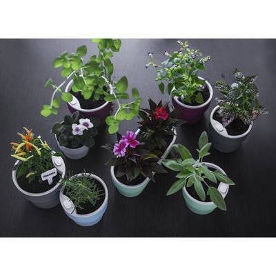 Imagen 2 del producto Macetero Autorriego Gris 16 x 14 cm