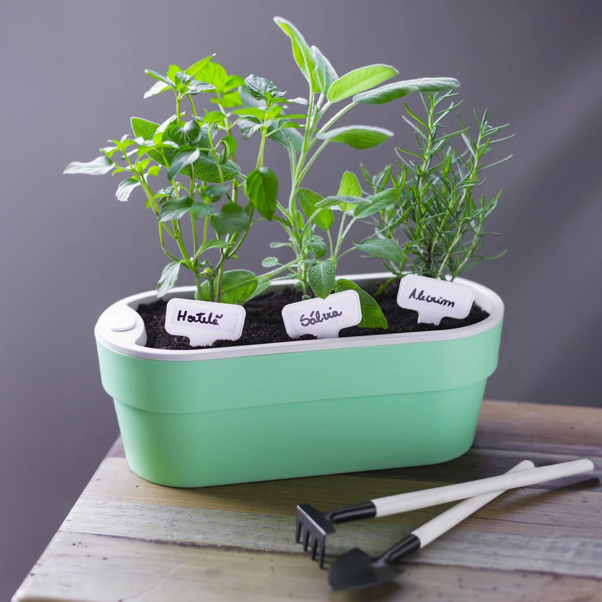 OU - Macetero Huerta Auto Riego Verde Menta 1,75 Lt - Verde