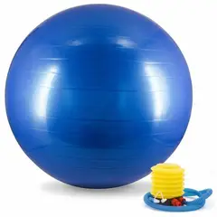 CRUSEC - Pelota Balon Yoga 65 Cm Pilates Con Inflador - Gris.