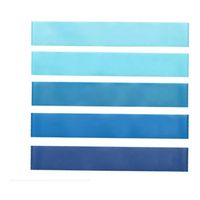 Set 5 Bandas Azul Elásticas Resistencia + Bolso