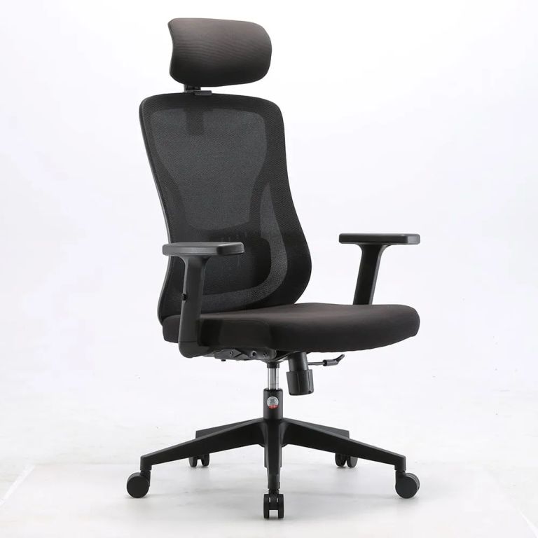 Silla de oficina ergonomica Kannia