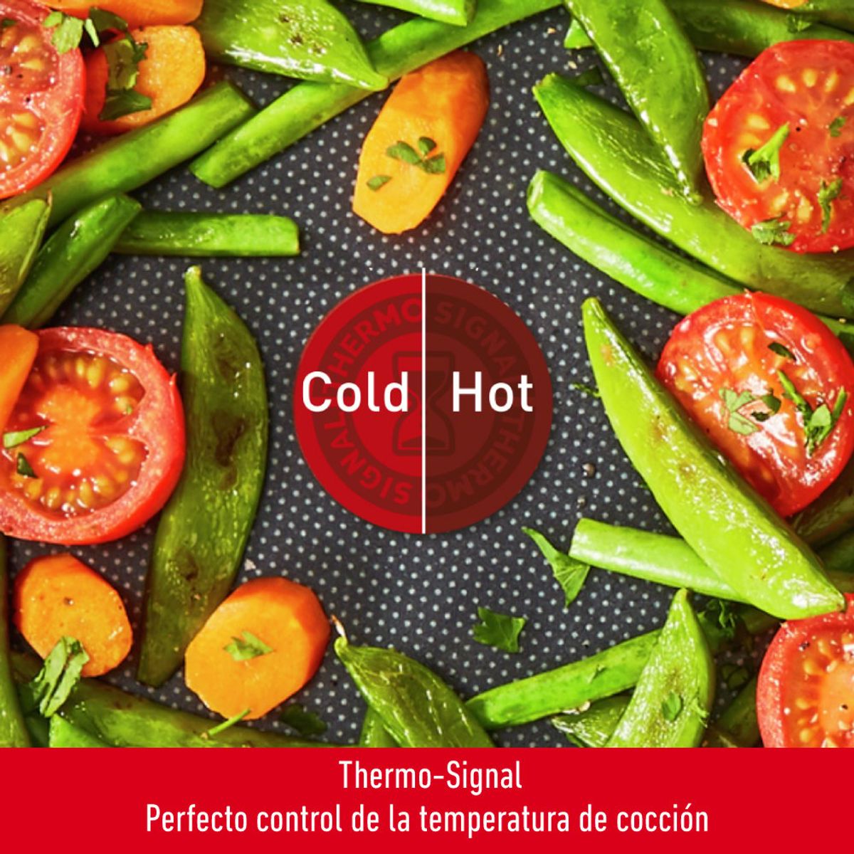 TEFAL - Sartén 26 cm XL Intense