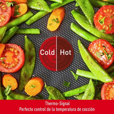 Imagen 2 del producto Sartén 26 cm XL Intense