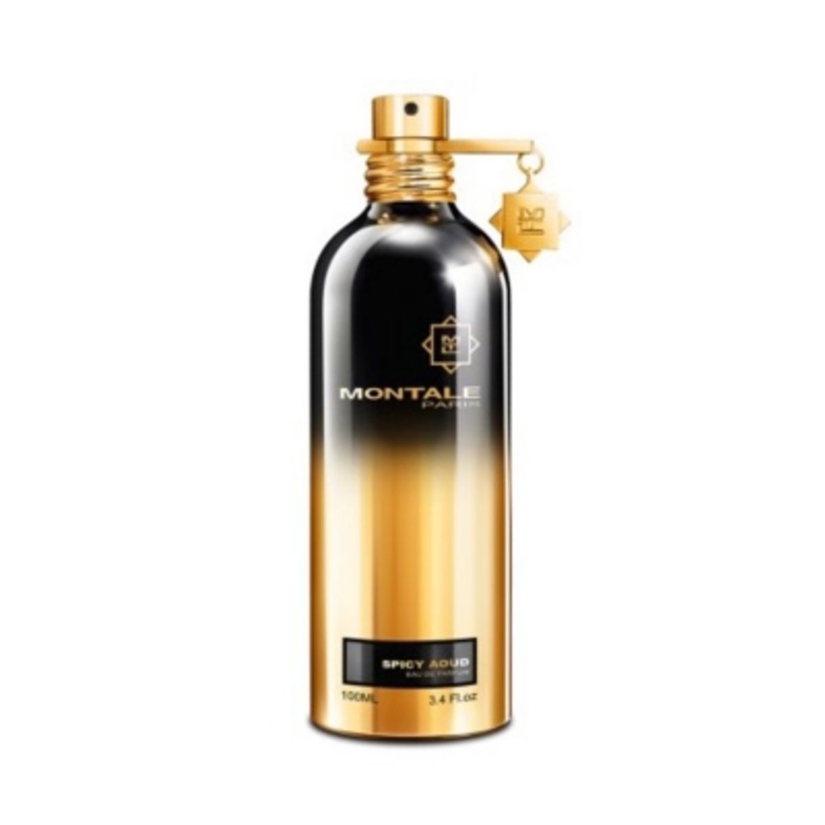 MONTALE PARIS - Spicy Aoud EDP 100 ml