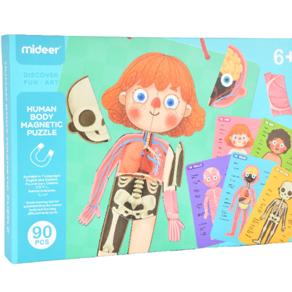 MIDEER - Rompecabezas Magnético del Cuerpo Humano