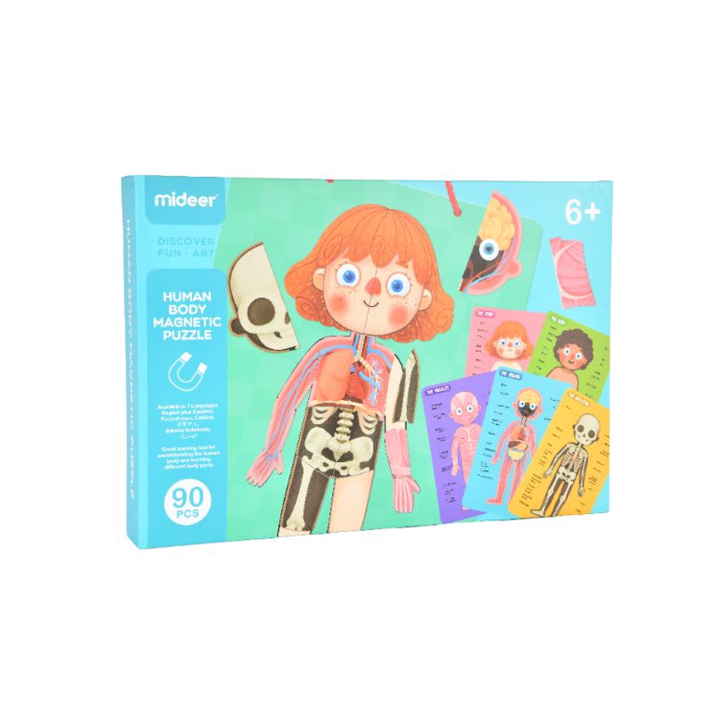 MIDEER - Rompecabezas Magnético del Cuerpo Humano