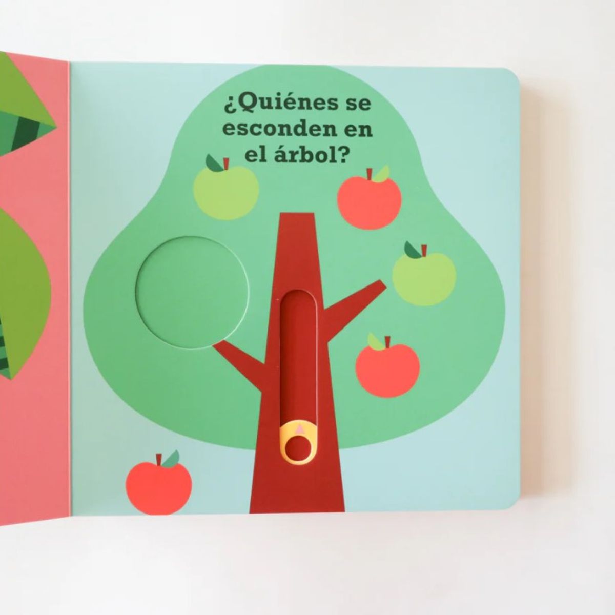 EDITORIAL CONTRAPUNTO - ¿dónde Está Oso? de Editorial Contrapunto