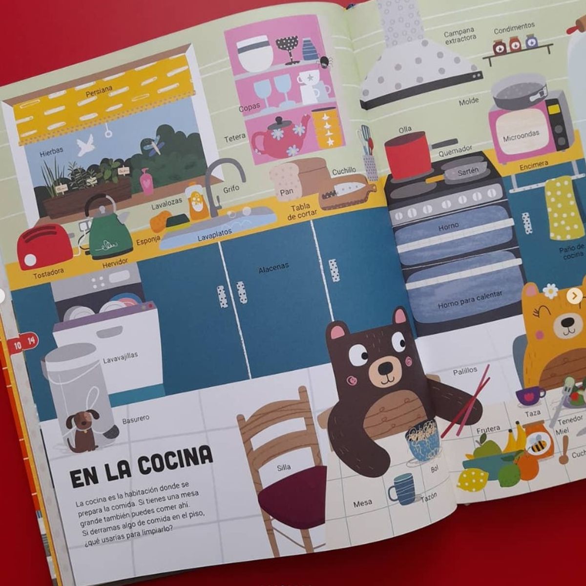 EDITORIAL CONTRAPUNTO - Mis Primeras 1001 Palabras