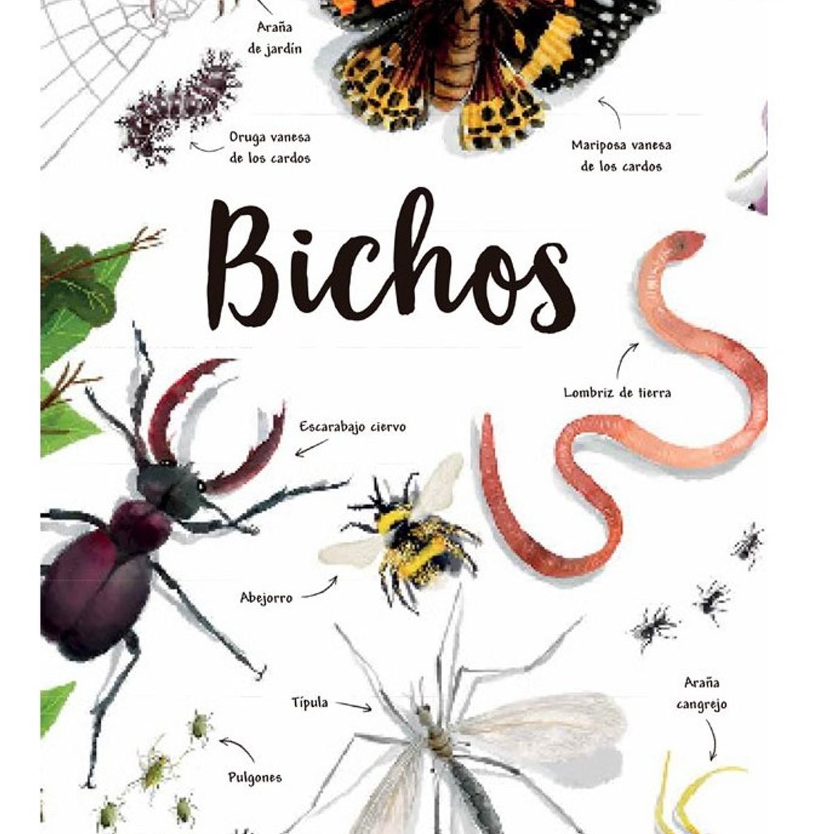 EDITORIAL CONTRAPUNTO - Mi Primer Libro De La Naturaleza