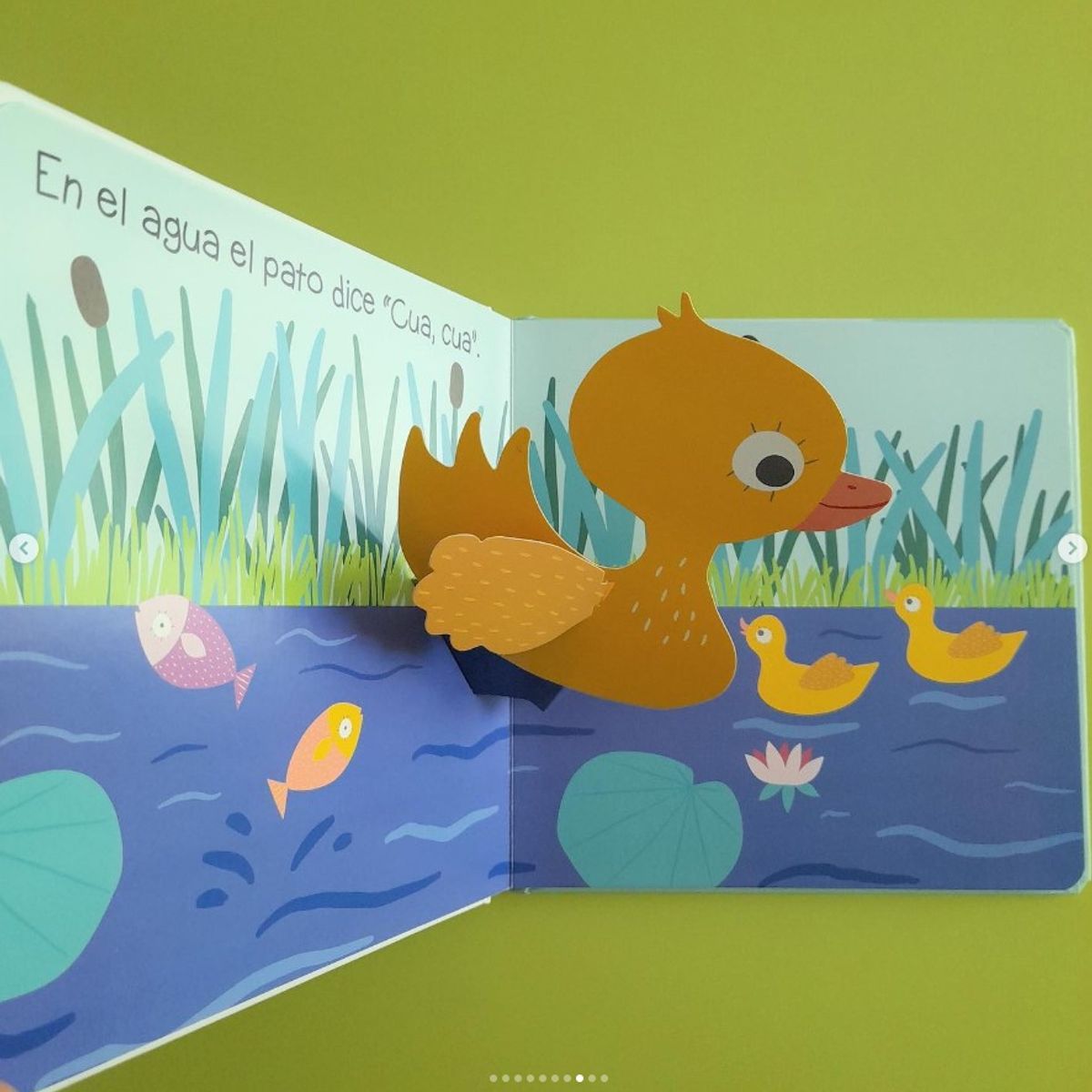 EDITORIAL CONTRAPUNTO - Pop Up - Granja de Editorial Contrapunto