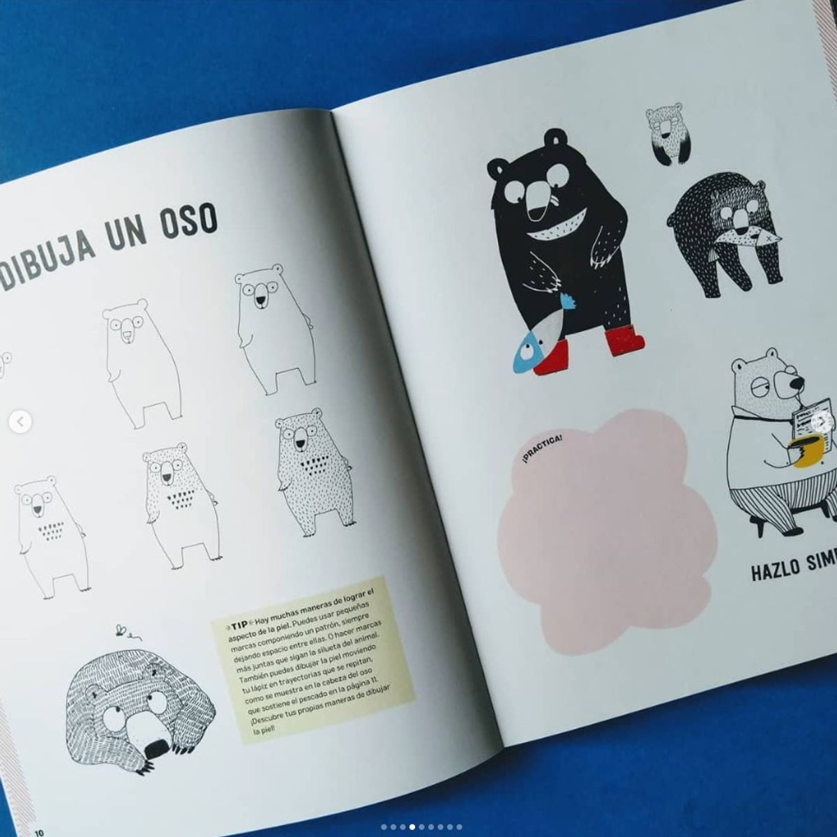 EDITORIAL CONTRAPUNTO - Dibuja 62 Animales. Guía Paso A Paso