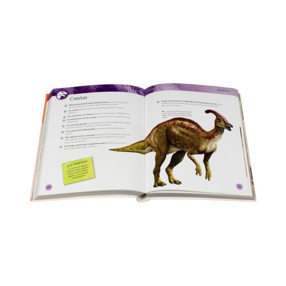 SILVER DOLPHIN - Enciclopedia - De Los Dinosaurios Y La Vida Prehistórica