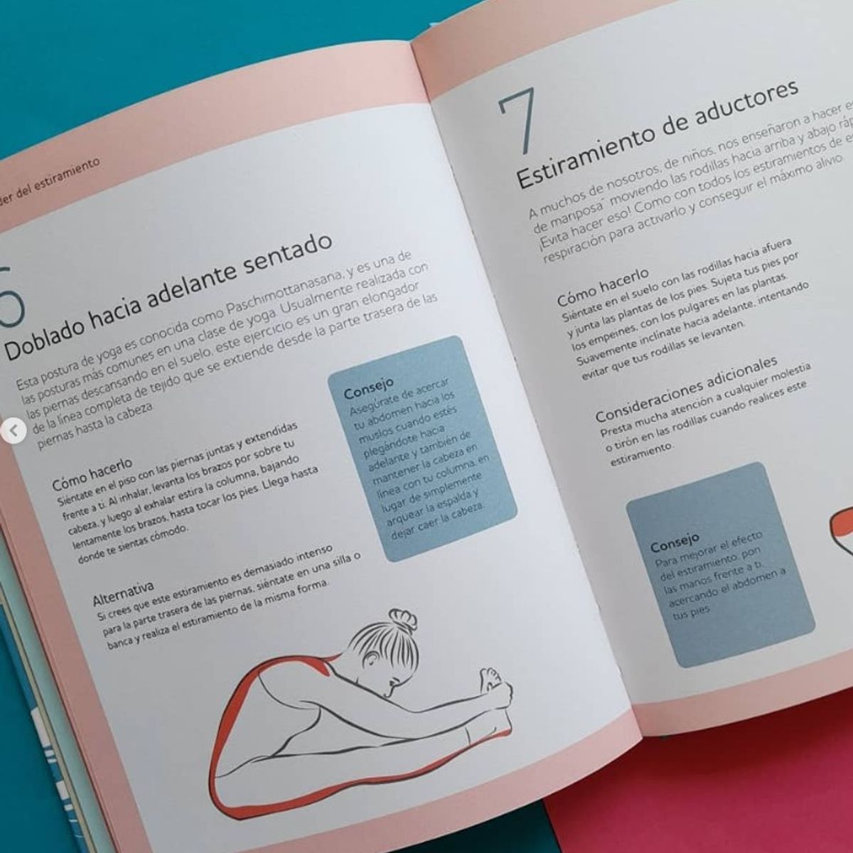 EDITORIAL CONTRAPUNTO - El Poder Del Estiramiento