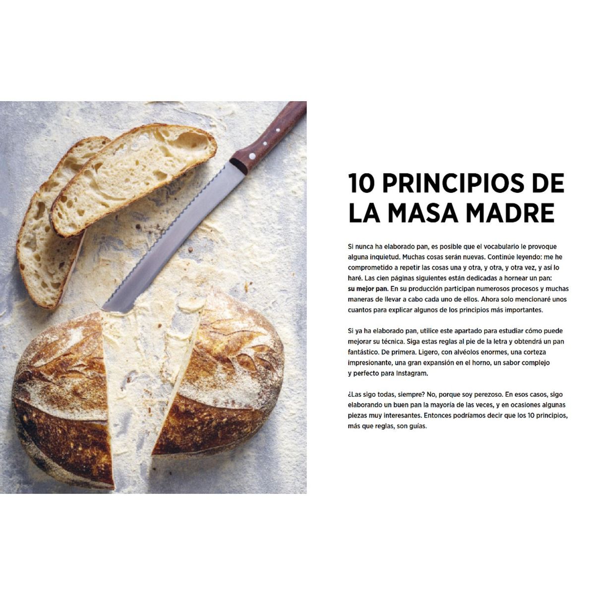 BLUME - Super Masa Madre