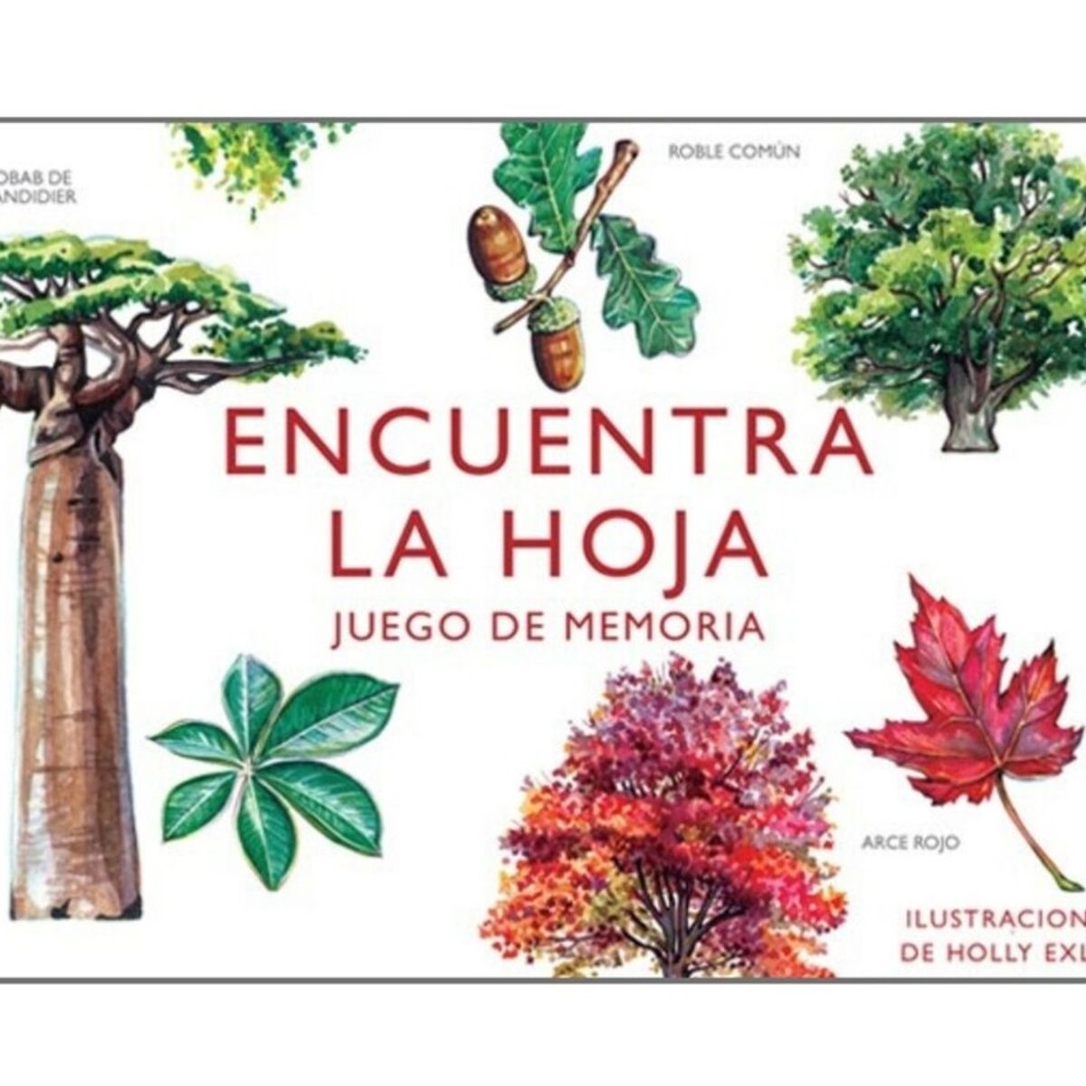 MTM - Juego De Memoria - Encuentra La Hoja