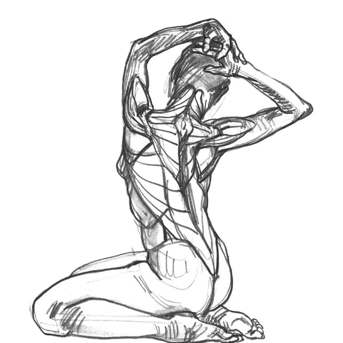 GUSTAVO GILI - Anatomía Artística de Editorial Gustavo Gili