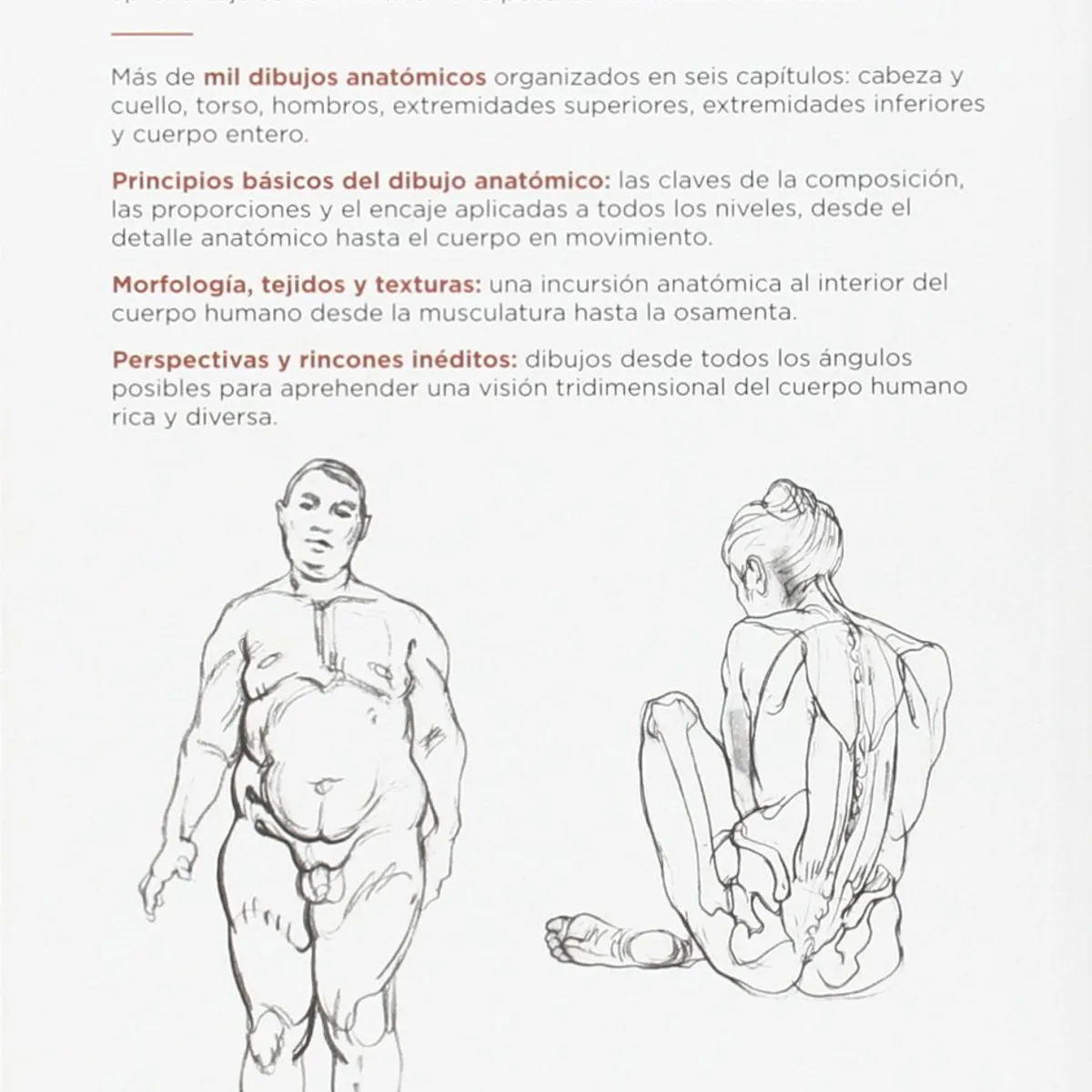 GUSTAVO GILI - Anatomía Artística de Editorial Gustavo Gili