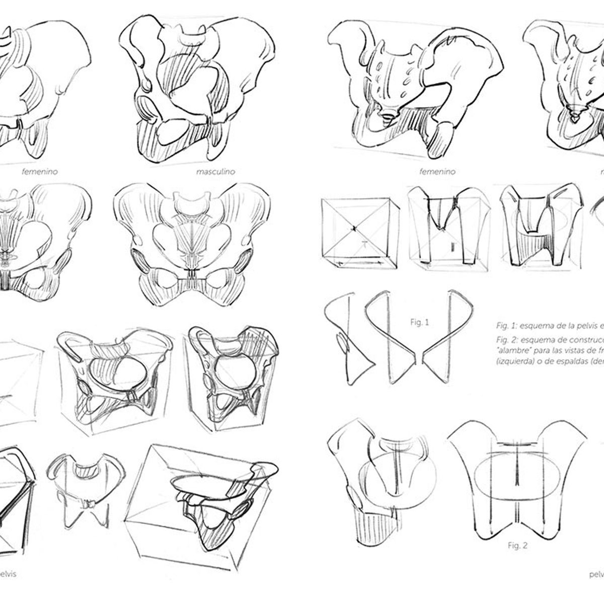 GUSTAVO GILI - Anatomía Artística 3. El Esqueleto
