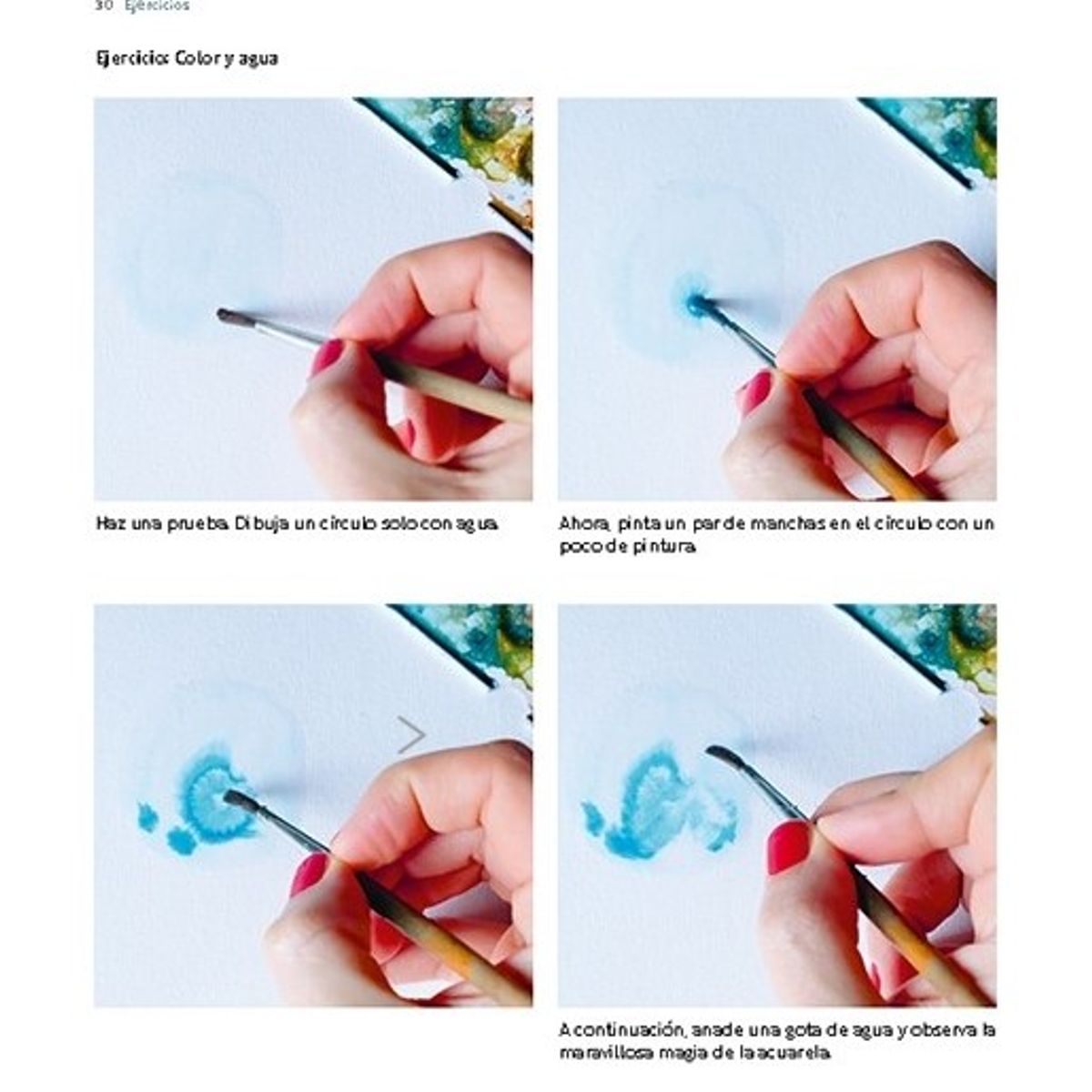 GUSTAVO GILI - Animales De Acuarela